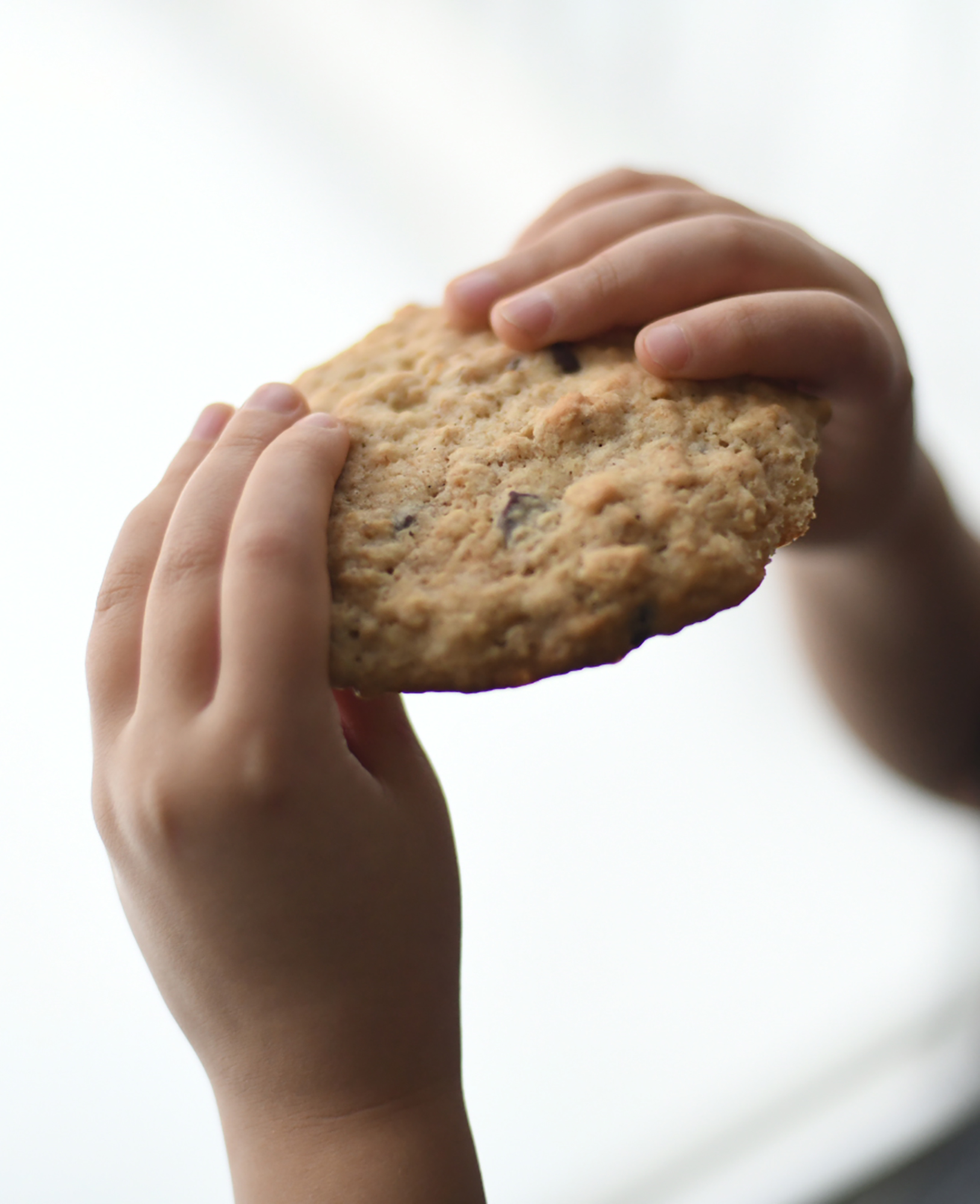 sourdough oatmeal chocolate chip cookies